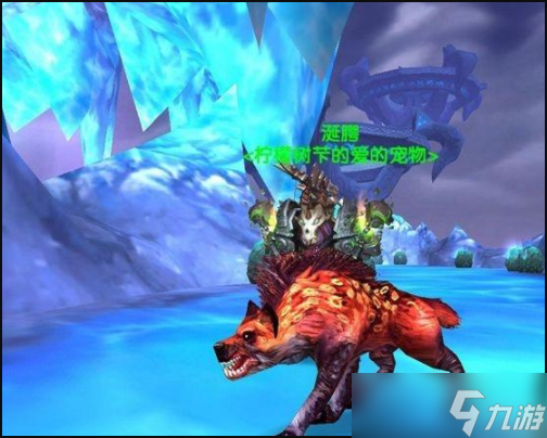 《魔獸世界》獵人稀有寵物數(shù)量詳解 魔獸世界獵人稀有寵物大全一覽