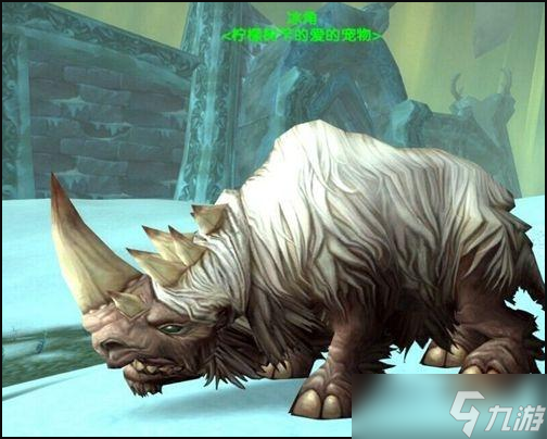 《魔獸世界》獵人稀有寵物數(shù)量詳解 魔獸世界獵人稀有寵物大全一覽
