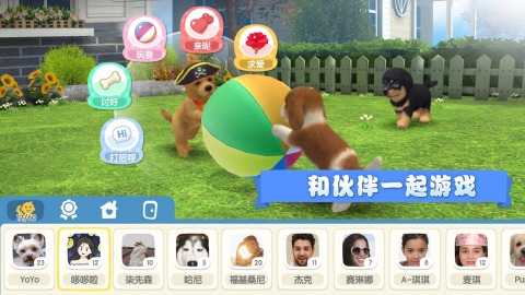 有宠物的手游合集分享2023 热门的养宠物的手机游戏榜单