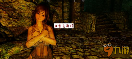 《上古卷轴5》美女随从Mod合集 上古卷轴5人物大全