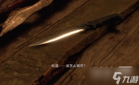 《生化危機(jī)4重制版》克勞薩背景介紹與打法心得一覽