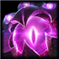 《LOL》S8全英雄天赋加点汇总